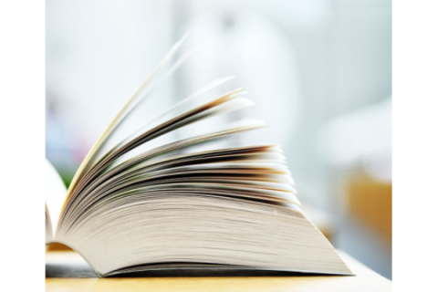  Important Terms to Know: Integral Debridement