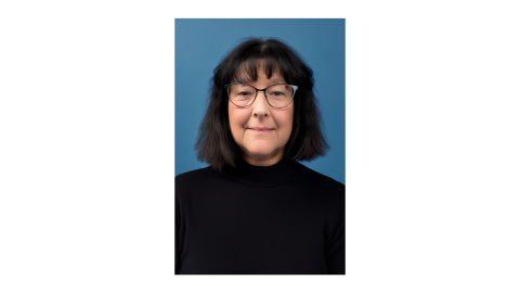 Diane L. Krasner, PhD, RN, FAAN, FAAWC, MAPWCA, WOCNF